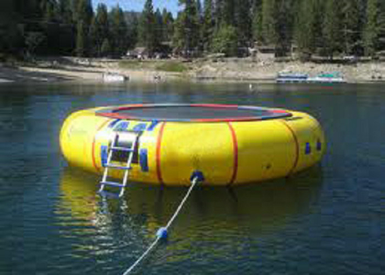 Trampolín inflable Eco del agua de la impresión de encargo amistoso para el parque del agua