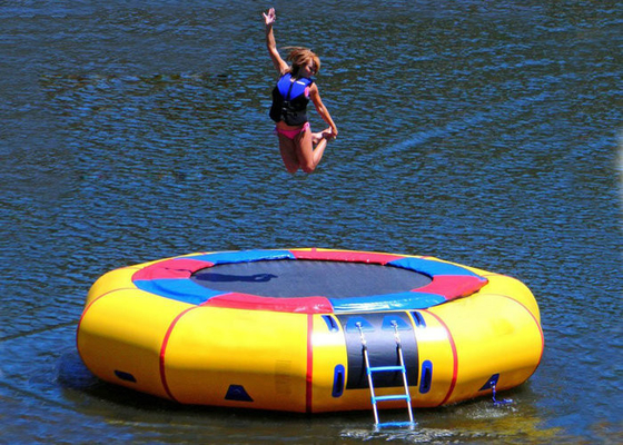 Trampolín inflable Eco del agua de la impresión de encargo amistoso para el parque del agua