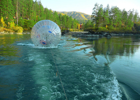 La bola clara del hámster de la piscina del PVC modificó tecnología soldada con autógena impresa color del aire para requisitos particulares caliente